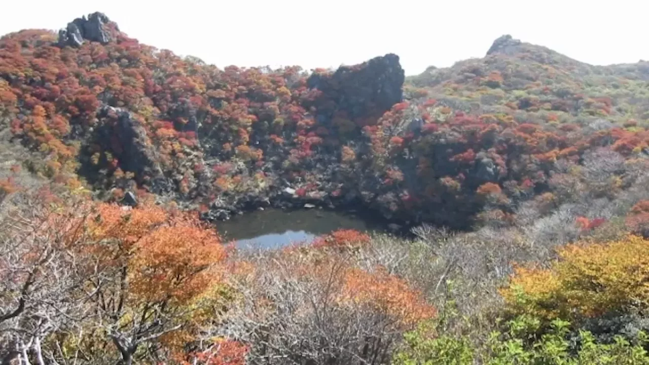 大船山登山 大船山山頂の御池