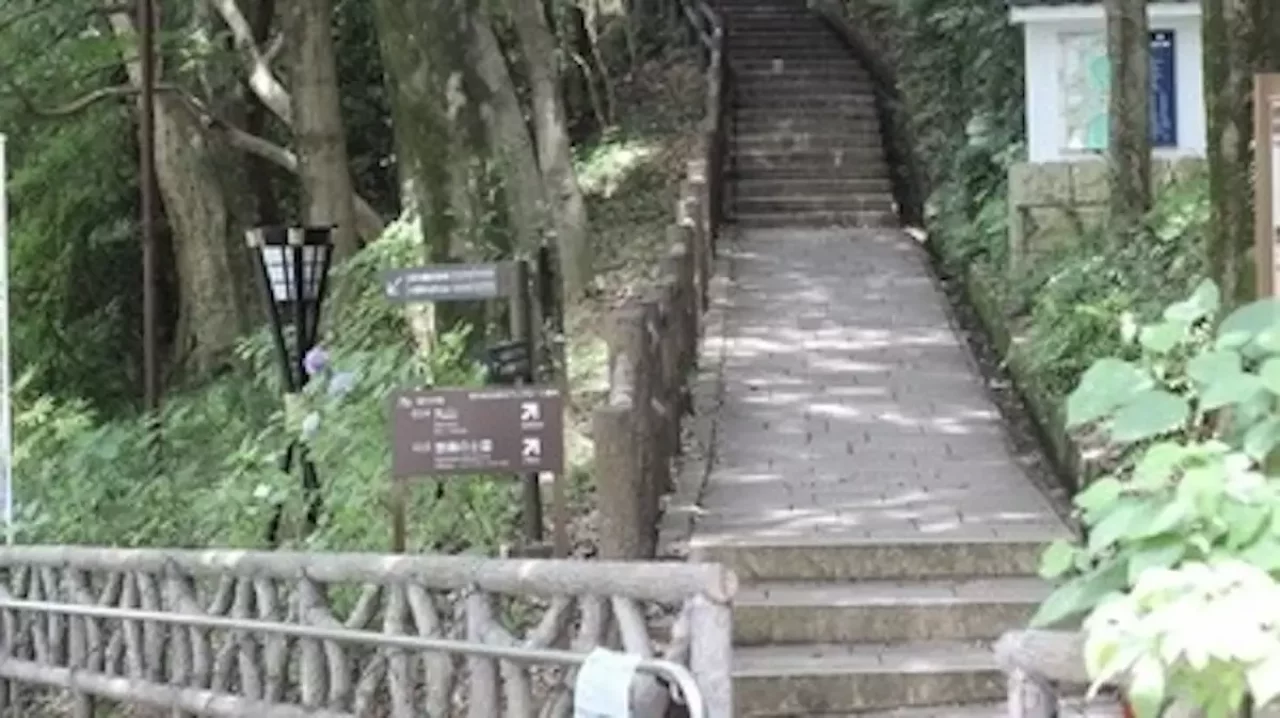 金華山 登山 馬の背登山道 登山口