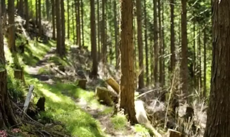 恵那山黒井沢ルート急登