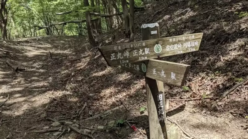 飯能アルプス 登山 トレイルランニング