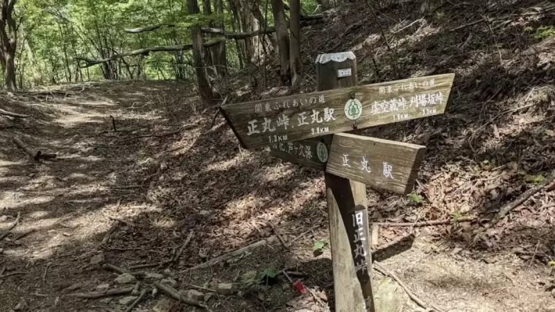 飯能アルプス 登山 トレイルランニング