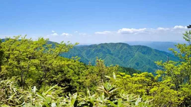 恵那山からの眺望