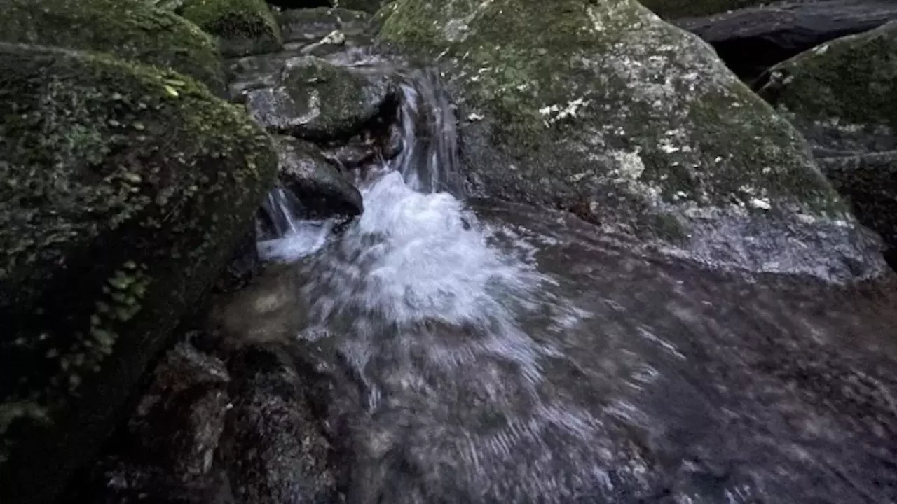 九州の日本百名山宮之浦岳屋久島の水場