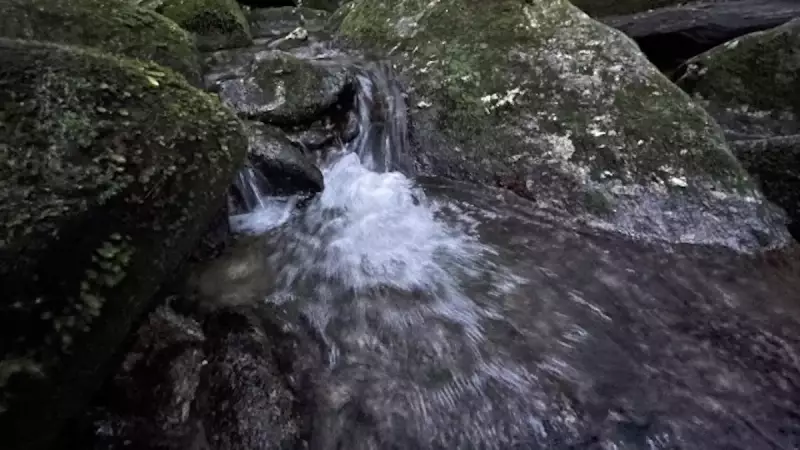 九州の日本百名山宮之浦岳屋久島の水場