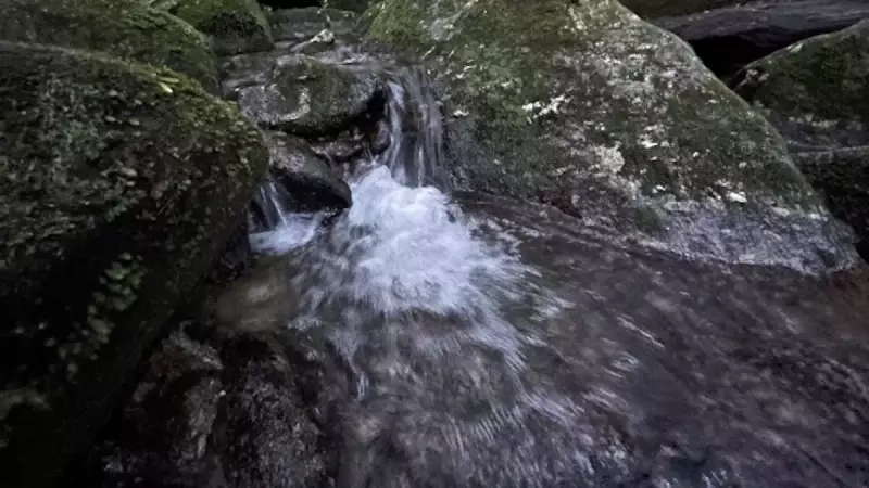 九州の日本百名山宮之浦岳屋久島の水場