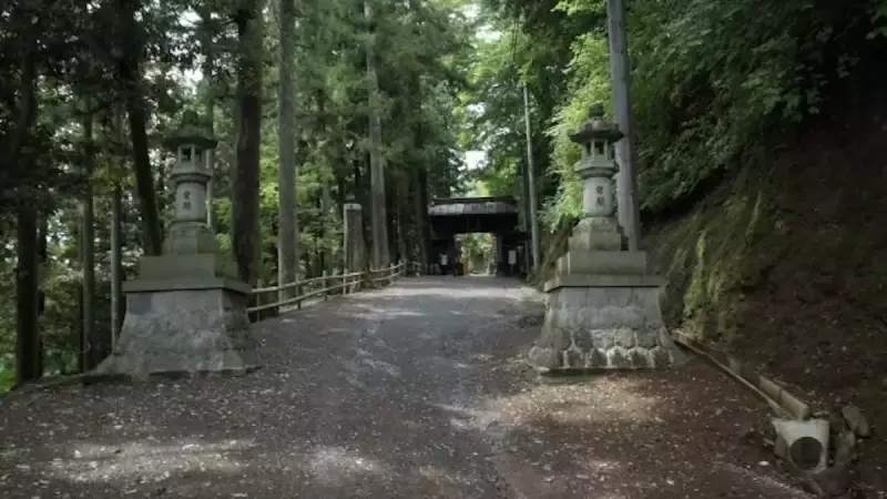 飯能アルプス 登山 子の権現 山道