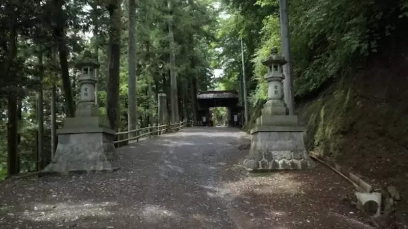 飯能アルプス 登山 子の権現 山道