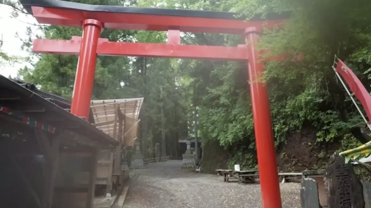 飯能アルプス 登山 子の権現