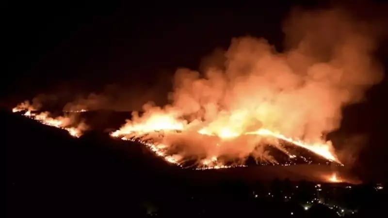 低山 ハイキング 関西 若草山 山焼き