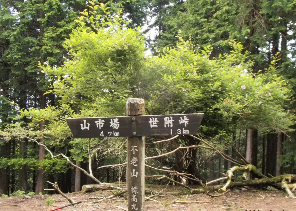 【日帰り登山】サンショウバラの咲く西丹沢の静かな秘境!不老山の難易度別ルート紹介