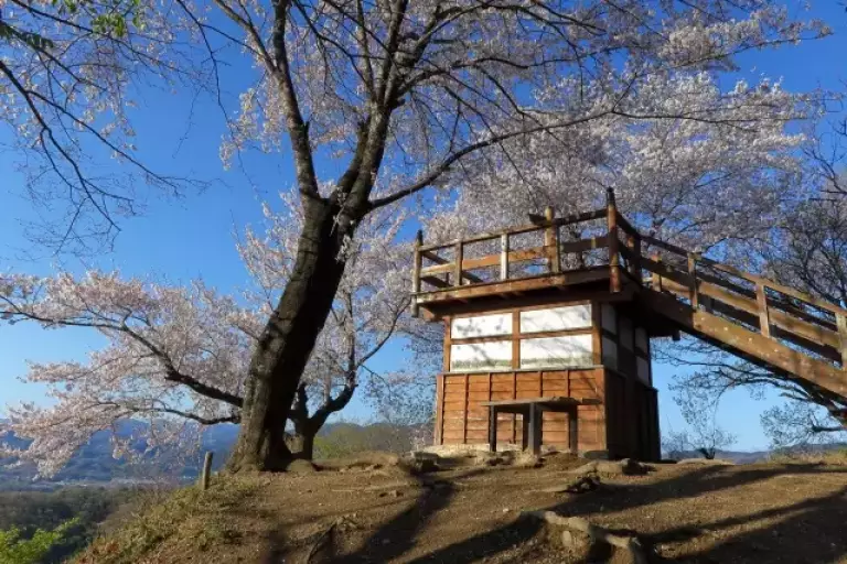 鐘撞堂山の山頂