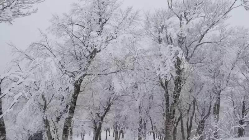 関西 登山 氷ノ山