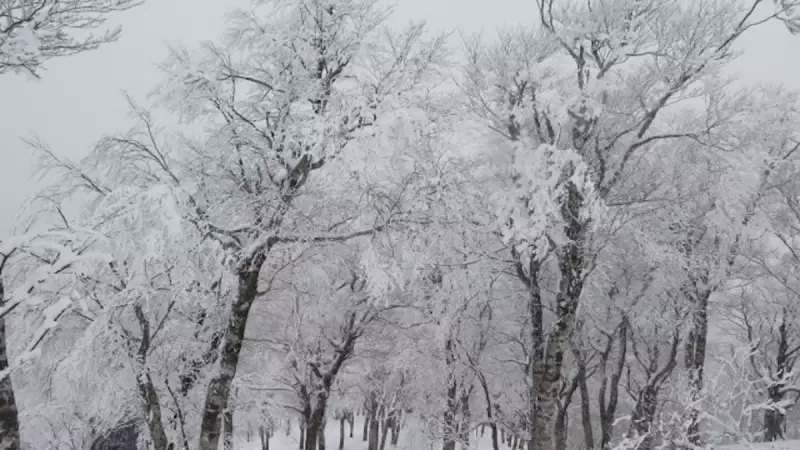 関西 登山 氷ノ山