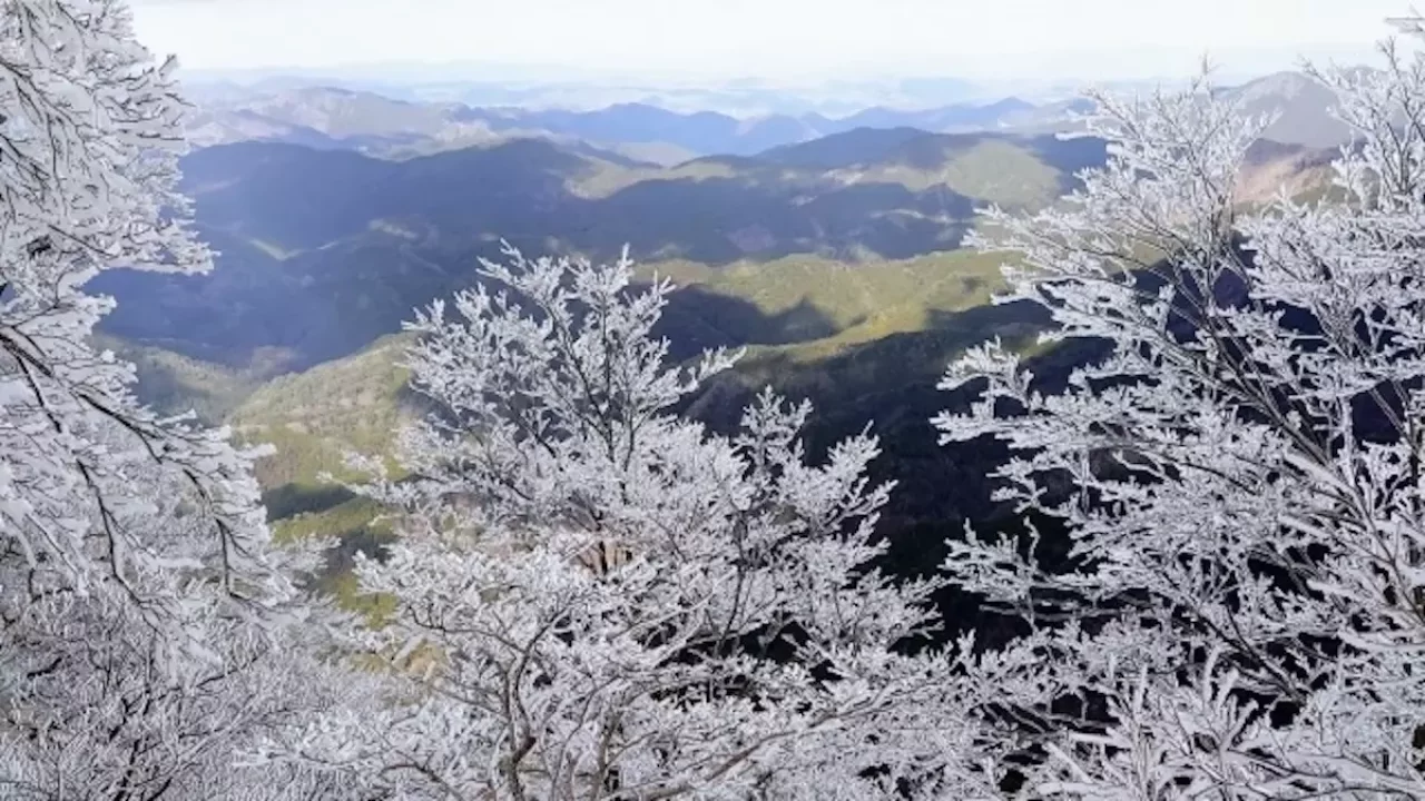 関西 登山 高見山
