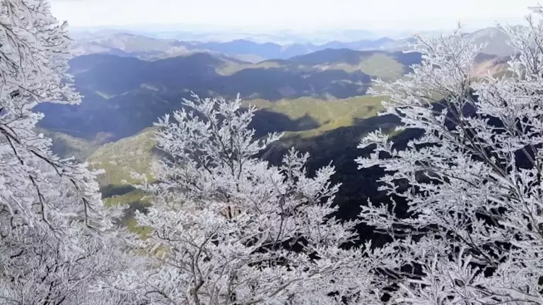 関西 登山 高見山