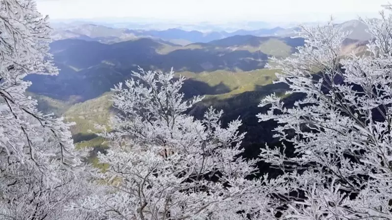 関西 登山 高見山
