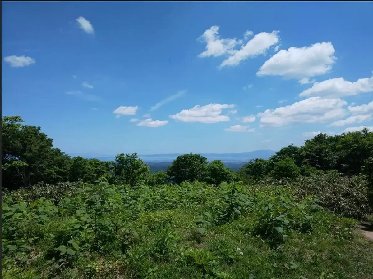 【梵珠山登山】穏やかな森林浴と多彩な動植物に出会える山