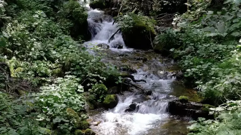 三浦アルプス 登山 森戸川源流