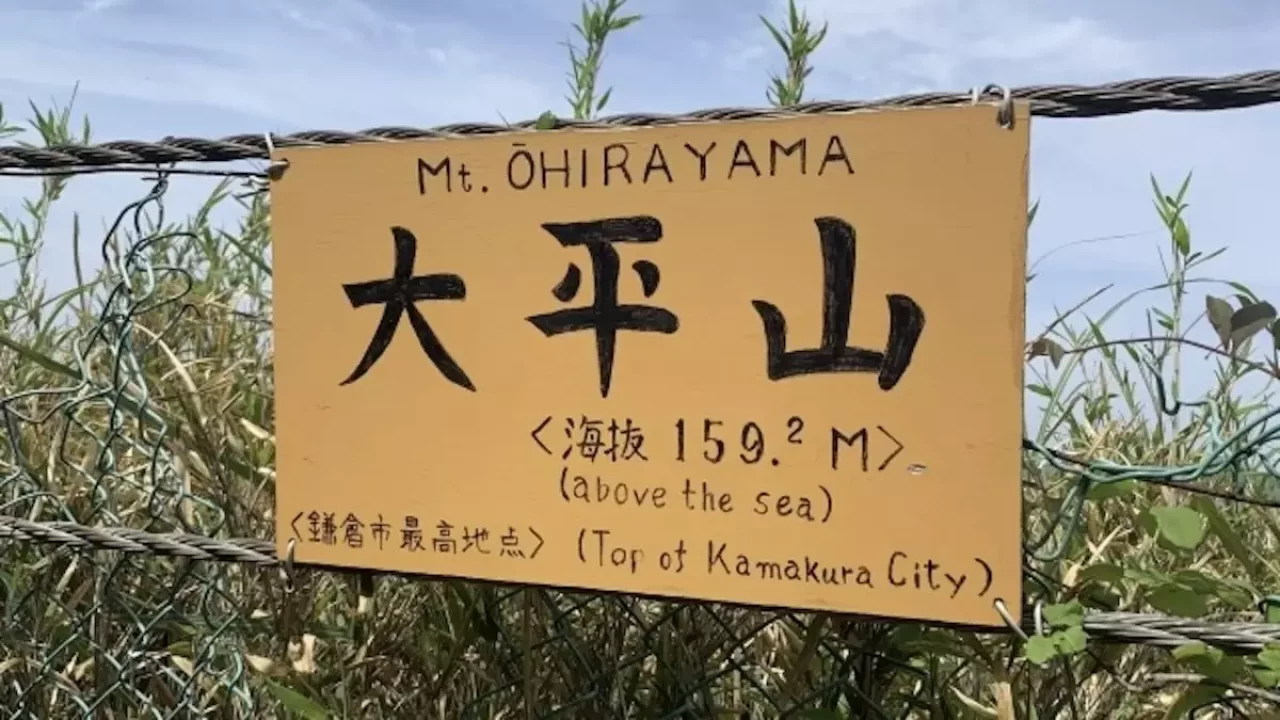 鎌倉アルプス 大平山