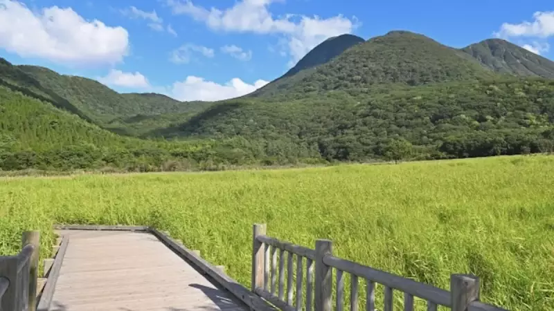 大船山登山タデ原湿原
