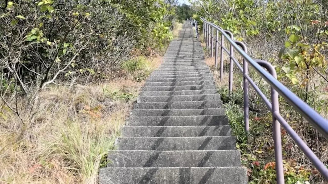 須磨アルプス 栂尾山 階段