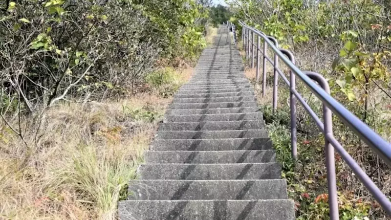 須磨アルプス 栂尾山 階段