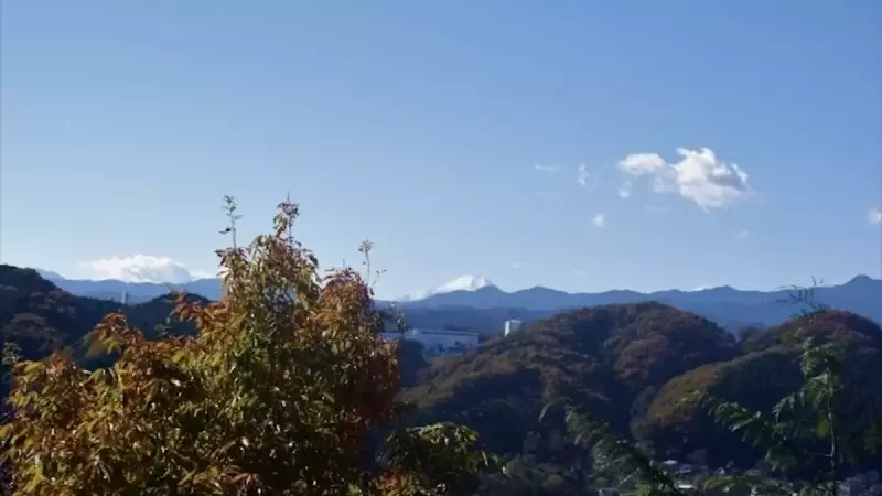 ご当地アルプス 飯能アルプス