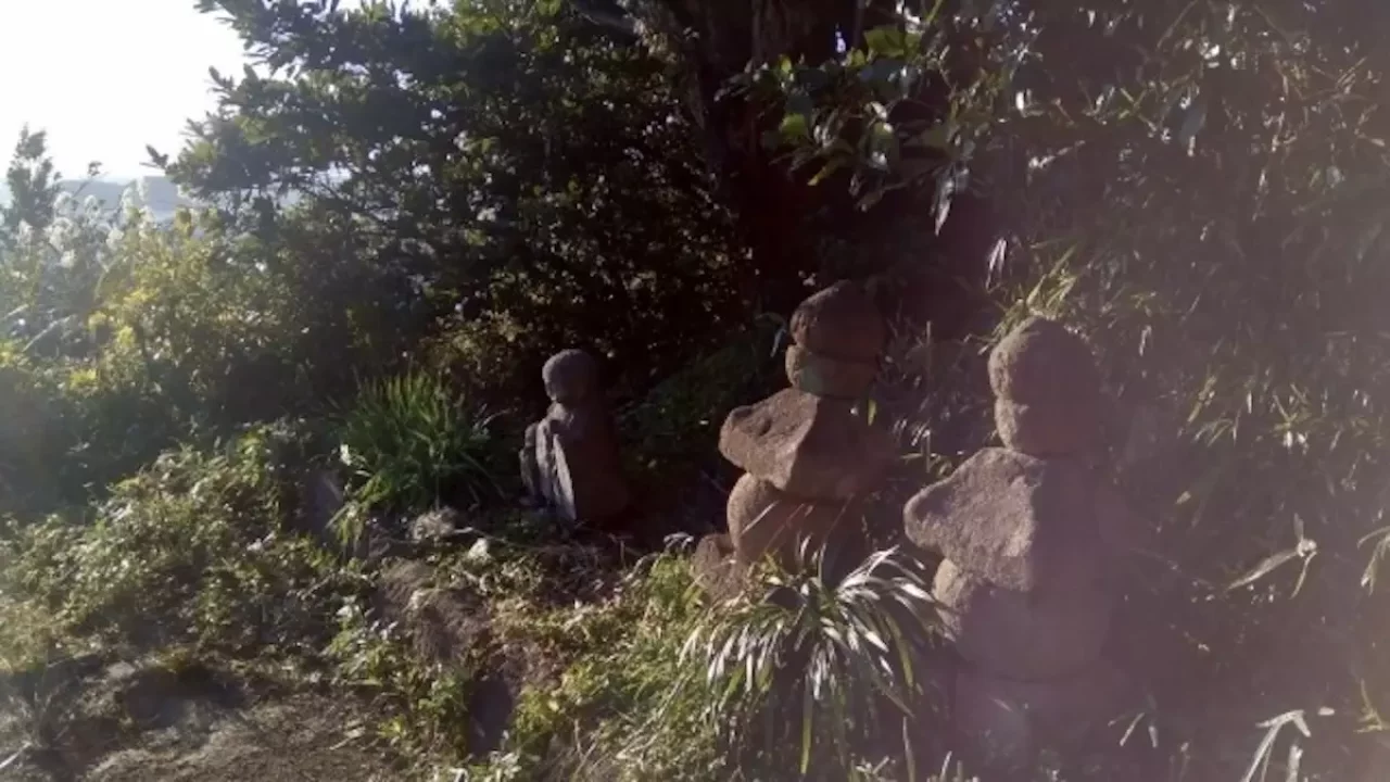 鎌倉アルプス 冬の登山道