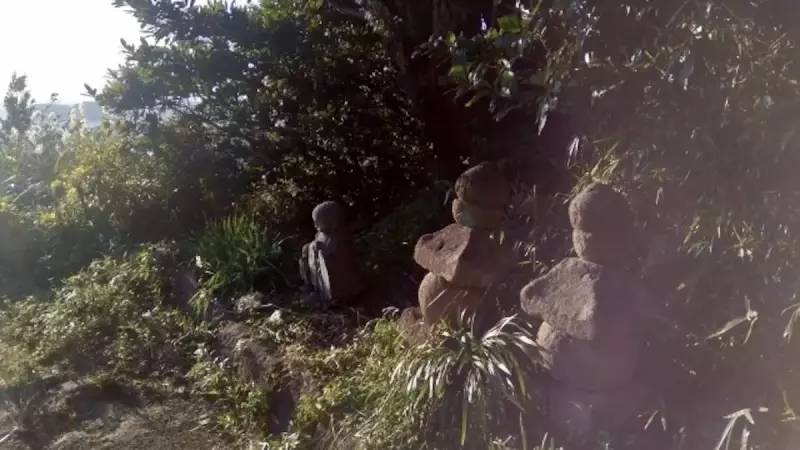 鎌倉アルプス 冬の登山道