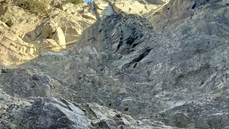 須磨アルプス 横尾山 登山道