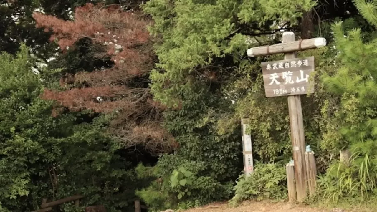 飯能アルプス 登山 天覧山 山頂