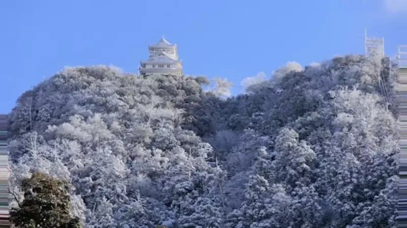 金華山 登山 冬