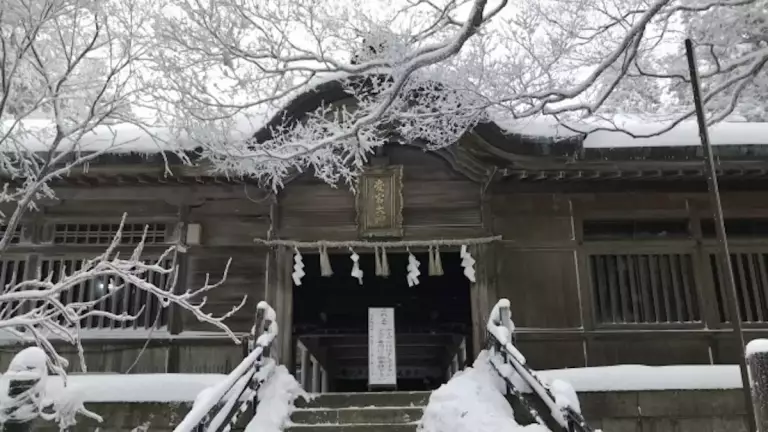 低山 ハイキング 登山