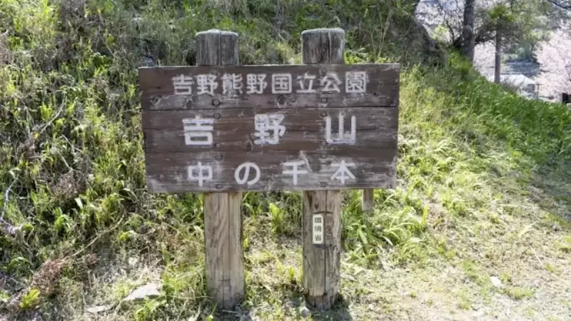 低山 ハイキング 関西
