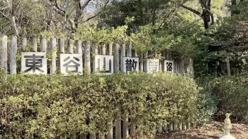 低山 登山 東谷山