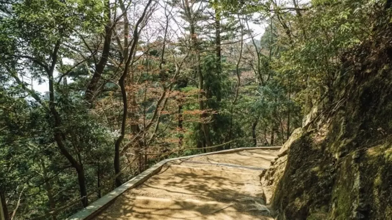 比叡山 登山 登山道