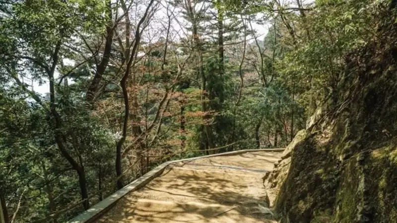 比叡山 登山 登山道