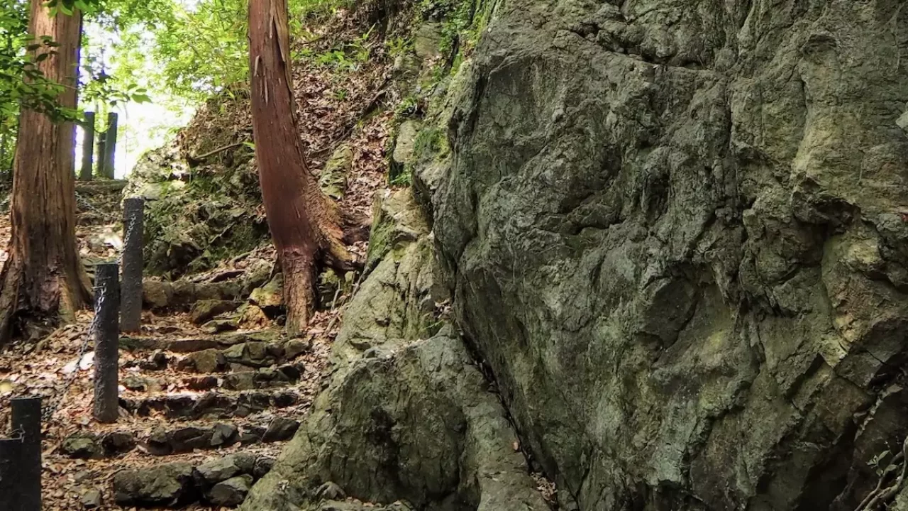 飯能アルプス 登山 天覧山登山道