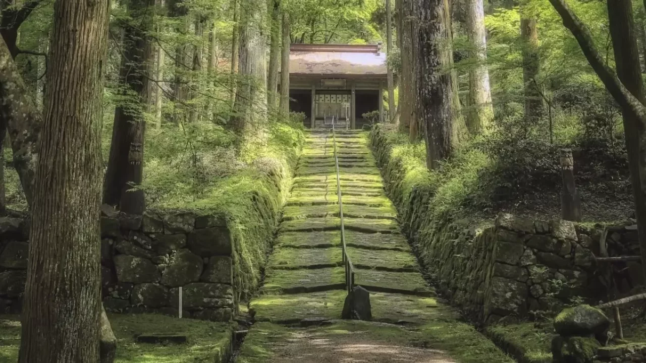 低山 ハイキング 関西 金勝寺