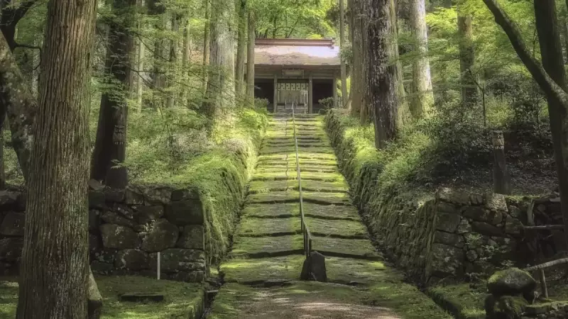 低山 ハイキング 関西 金勝寺