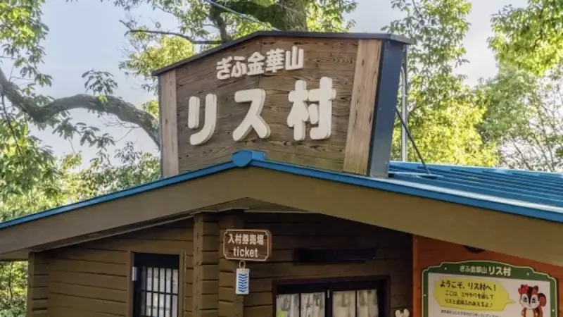 金華山 登山 リス村