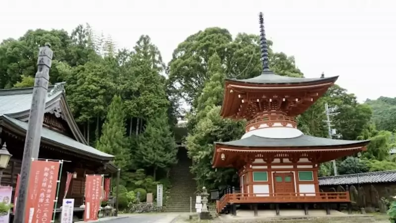 低山 ハイキング 関西 慈尊院