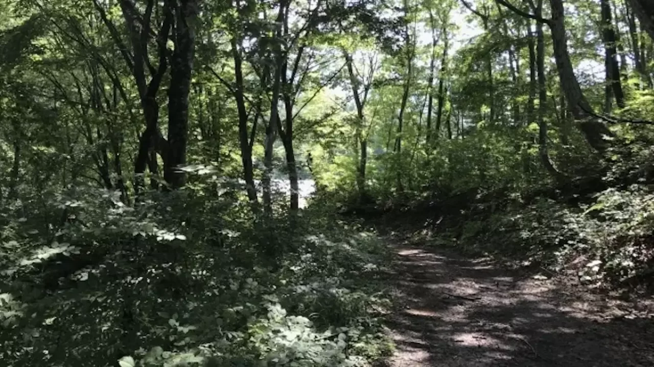 飯能アルプス 登山 天覚山登山道