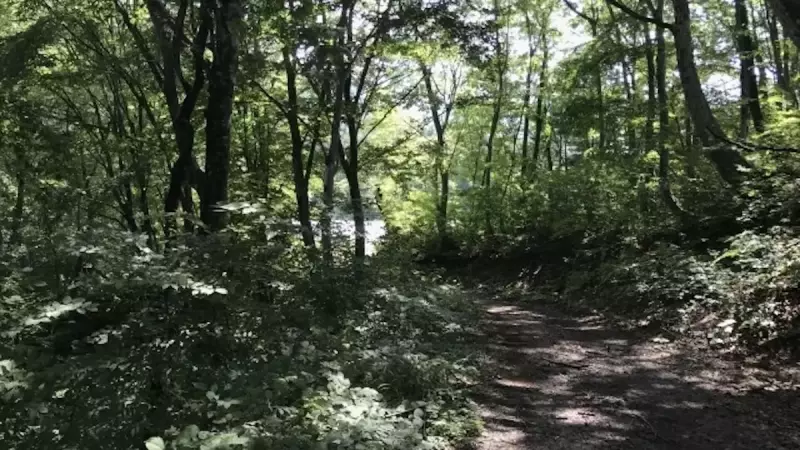 飯能アルプス 登山 天覚山登山道