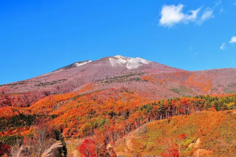 秋 登山 紅葉
新雪の不忘山(蔵王連峰)と山麓の紅葉