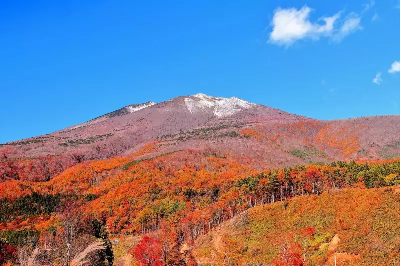 秋 登山 紅葉
新雪の不忘山(蔵王連峰)と山麓の紅葉