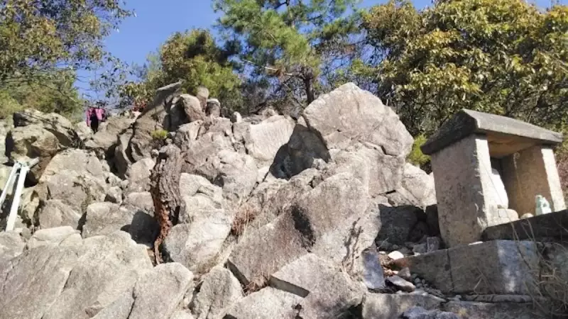 六甲山 登山 紅葉 ロックガーデン