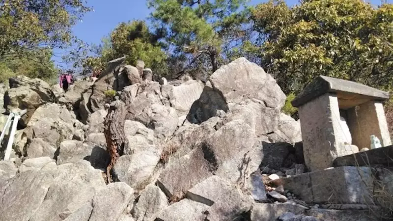 六甲山 登山 紅葉 ロックガーデン