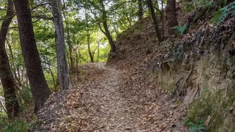 金華山 登山 七曲り登山道