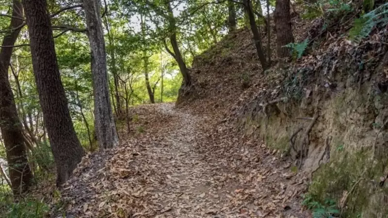 金華山 登山 七曲り登山道
